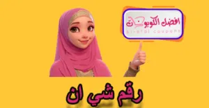 رقم شي ان